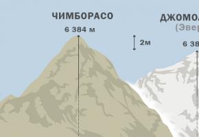 Урок географии: какая самая высокая гора в мире